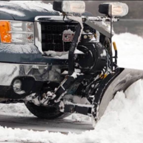 Meet your Posher, Will - Picture 1 of 1